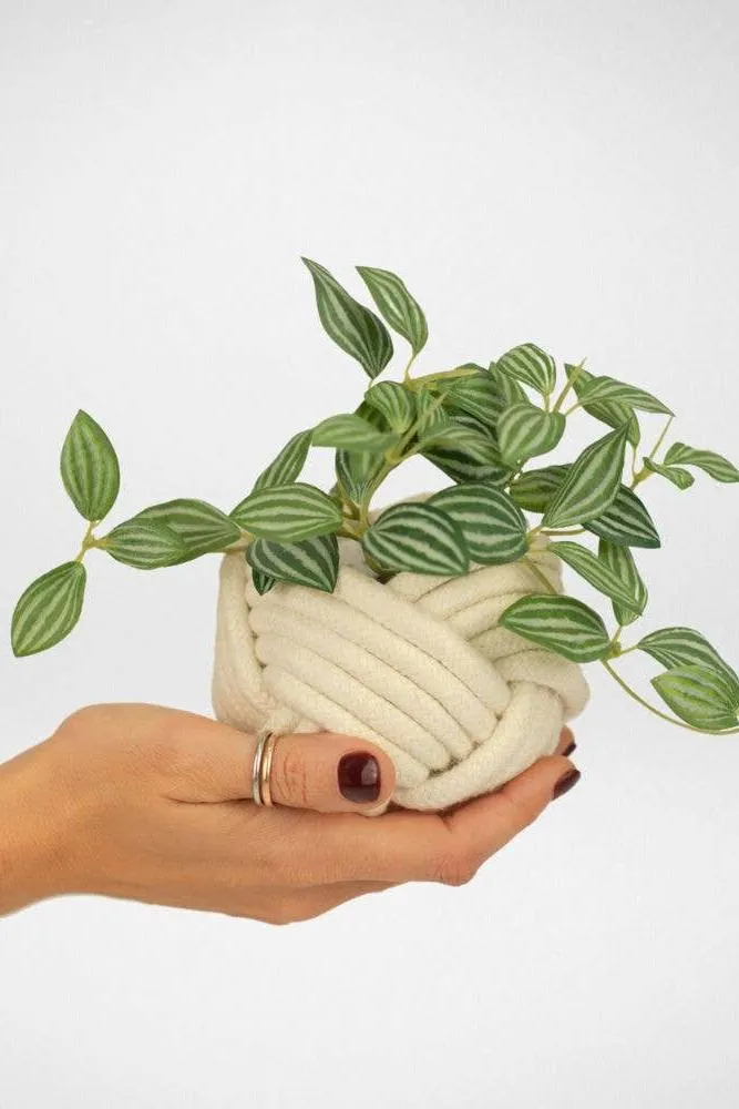 Mini Unbound Planter