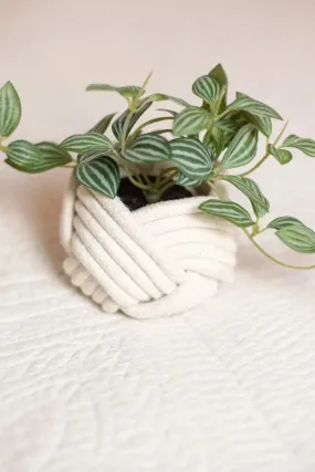 Mini Unbound Planter