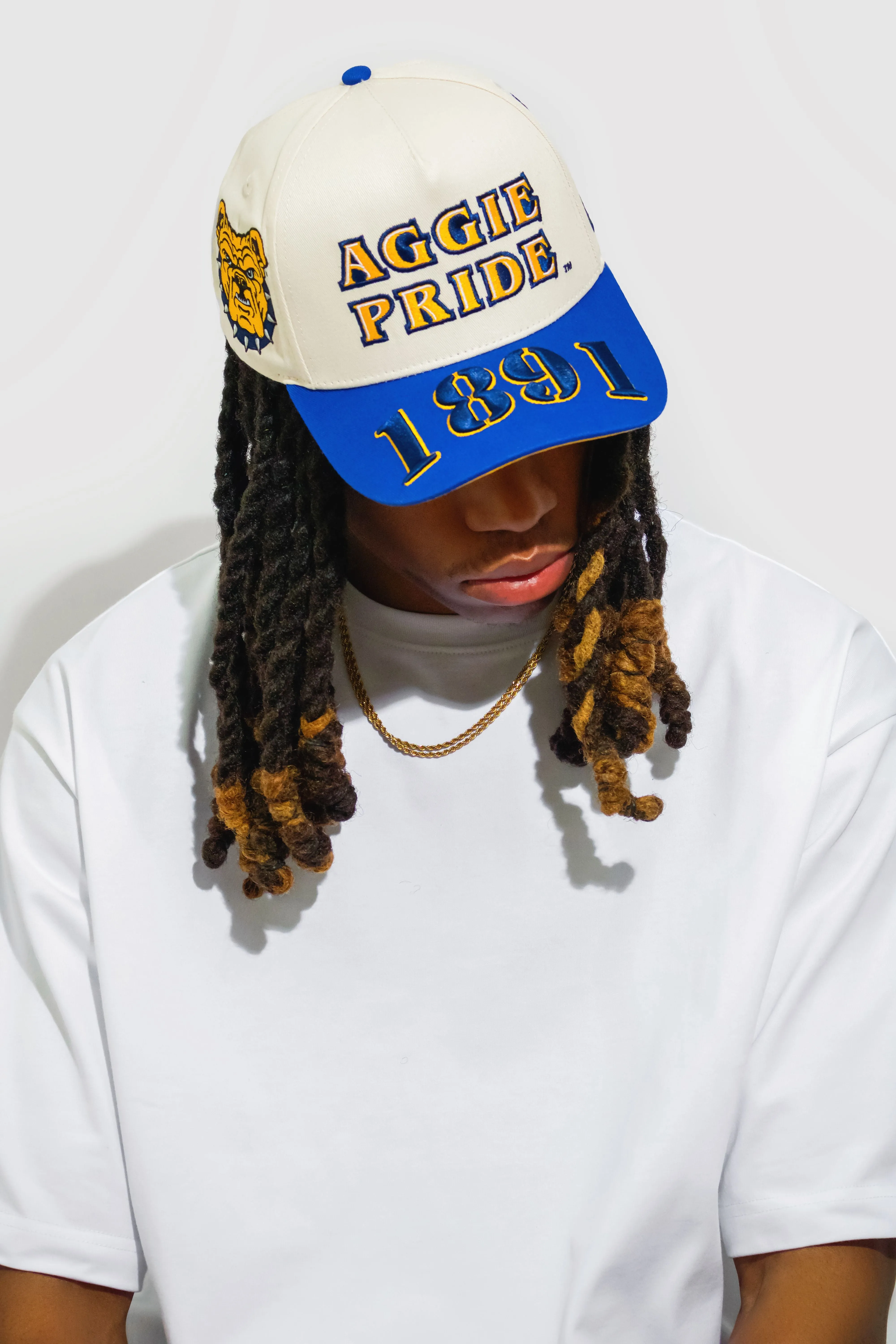 NCA&T Hat - Aggie Pride